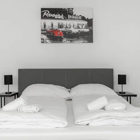 Homy Downtown Elegance Apartment